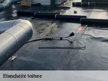 Etanchéité toiture
