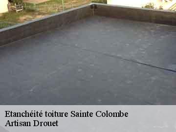 Etanchéité toiture sainte-colombe-17210 Artisan Drouet