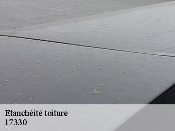 Etanchéité toiture 17330