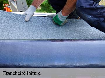 Etanchéité toiture 17330