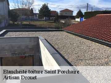 Etanchéité toiture  17250