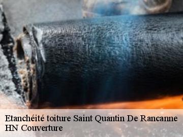 Etanchéité toiture 17800