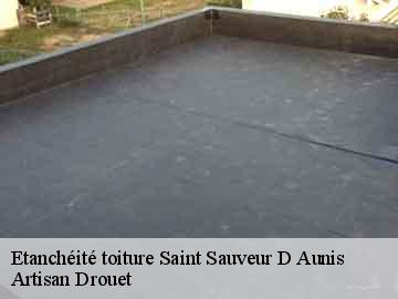 Etanchéité toiture  saint-sauveur-d-aunis-17540 Artisan Drouet