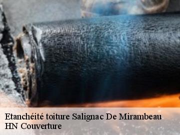 Etanchéité toiture 17130