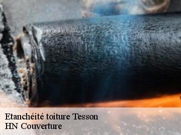 Etanchéité toiture 17460