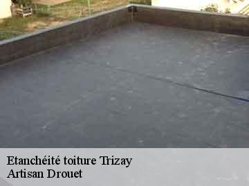 Etanchéité toiture  trizay-17250 Artisan Drouet