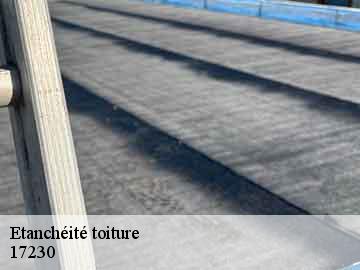 Etanchéité toiture 17230