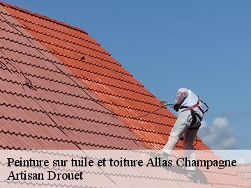 Peinture sur tuile et toiture