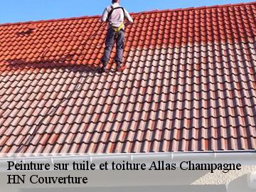 Peinture sur tuile et toiture  allas-champagne-17500 HN Couverture