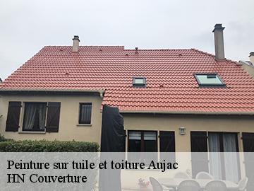 Peinture sur tuile et toiture 17770