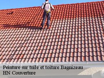 Peinture sur tuile et toiture  bagnizeau-17160 HN Couverture