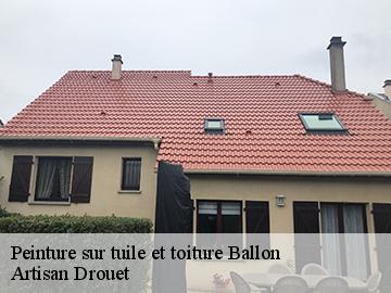 Peinture sur tuile et toiture  17290