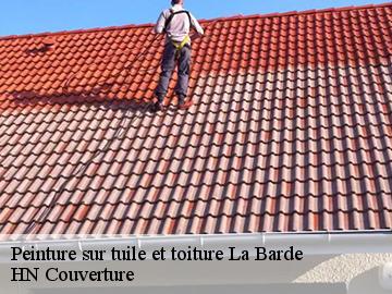 Peinture sur tuile et toiture la-barde-17360 HN Couverture