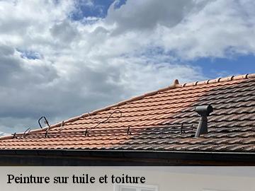 Peinture sur tuile et toiture