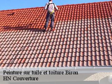Peinture sur tuile et toiture biron-17800 HN Couverture