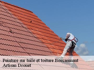 Peinture sur tuile et toiture