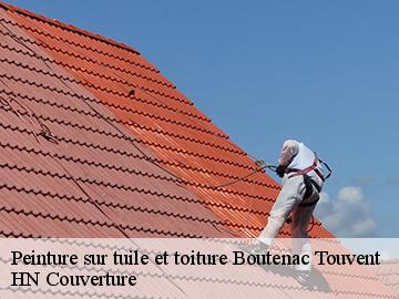 Peinture sur tuile et toiture