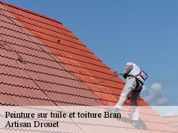Peinture sur tuile et toiture