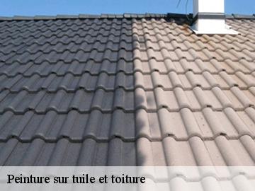 Peinture sur tuile et toiture 17770
