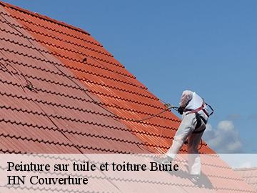 Peinture sur tuile et toiture