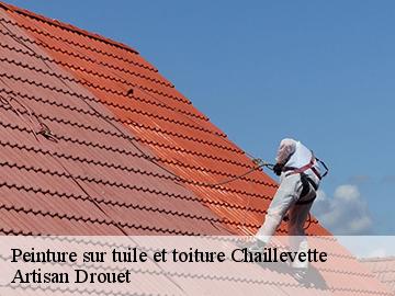 Peinture sur tuile et toiture