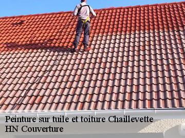 Peinture sur tuile et toiture chaillevette-17890 HN Couverture