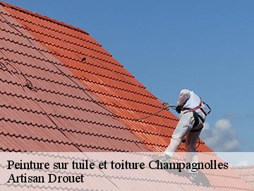 Peinture sur tuile et toiture