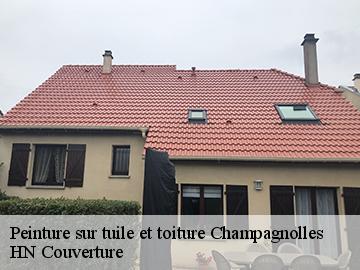 Peinture sur tuile et toiture 17240