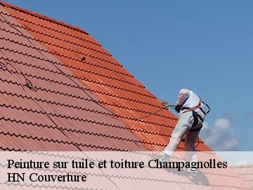 Peinture sur tuile et toiture