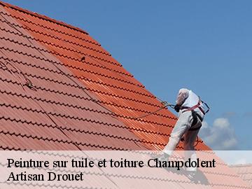 Peinture sur tuile et toiture