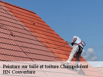 Peinture sur tuile et toiture