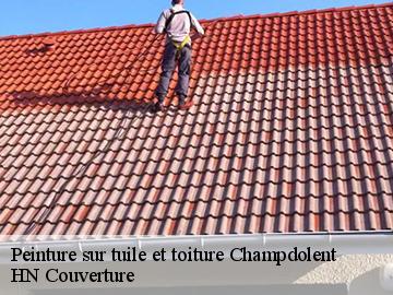 Peinture sur tuile et toiture champdolent-17430 HN Couverture