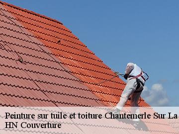 Peinture sur tuile et toiture