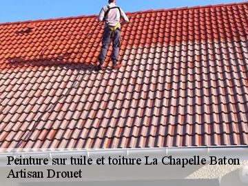 Peinture sur tuile et toiture  la-chapelle-baton-17400 Artisan Drouet