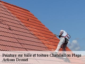 Peinture sur tuile et toiture