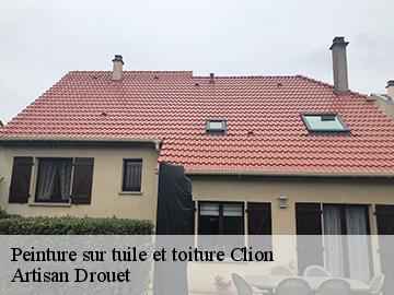 Peinture sur tuile et toiture  17240