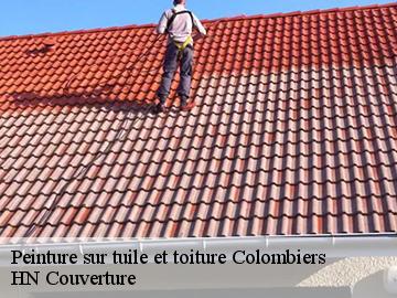Peinture sur tuile et toiture colombiers-17460 HN Couverture