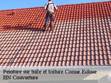 Peinture sur tuile et toiture corme-ecluse-17600 HN Couverture