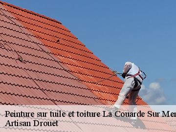 Peinture sur tuile et toiture