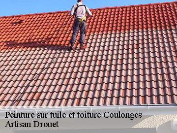 Peinture sur tuile et toiture  coulonges-17800 Artisan Drouet