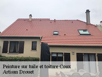 Peinture sur tuile et toiture  17130