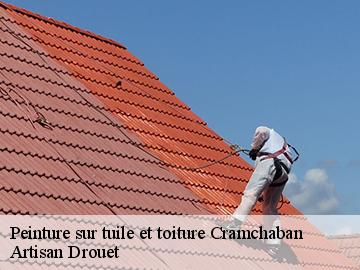 Peinture sur tuile et toiture