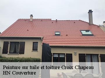Peinture sur tuile et toiture 17220