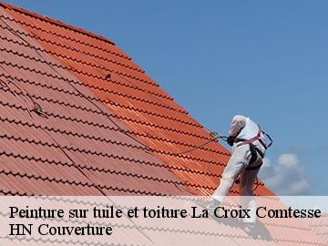 Peinture sur tuile et toiture