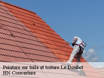Peinture sur tuile et toiture