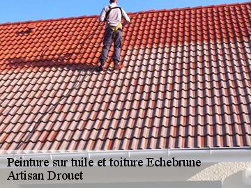 Peinture sur tuile et toiture  echebrune-17800 Artisan Drouet