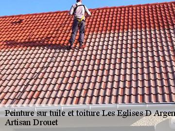 Peinture sur tuile et toiture  les-eglises-d-argenteuil-17400 Artisan Drouet