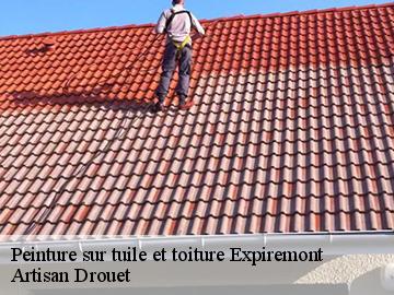 Peinture sur tuile et toiture  expiremont-17130 Artisan Drouet