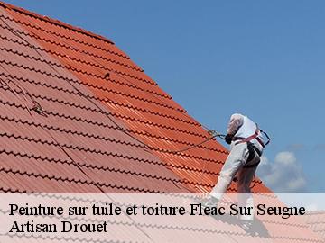 Peinture sur tuile et toiture