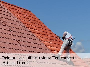 Peinture sur tuile et toiture